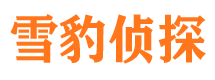 雁峰寻人公司